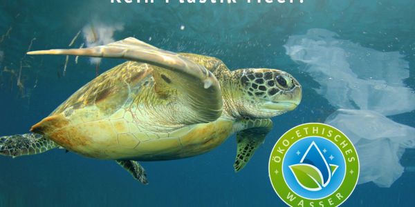 Meeresschildkröte und eine Plastiktüte schwimmen gleichzeitig durch das Meer. Auf dem Bild steht Lebendige Ozeane als Lebensgrundlage für uns alle. Trinkst du schon öko-ethisch.